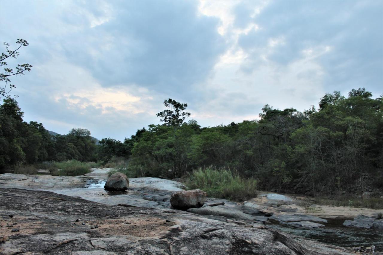 Lions Rock Rapids - Lodge Hazyview Exteriér fotografie